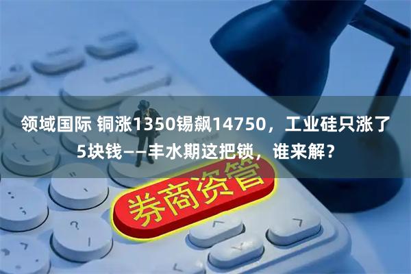 领域国际 铜涨1350锡飙14750，工业硅只涨了5块钱——丰水期这把锁，谁来解？